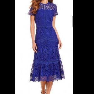 Antonio Melani Blue Lace Dress (size 0)
